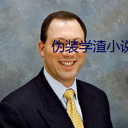 伪装学渣小说