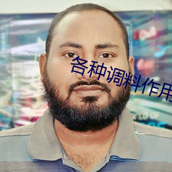 各种调料作(作)用一(一)览(覽)表