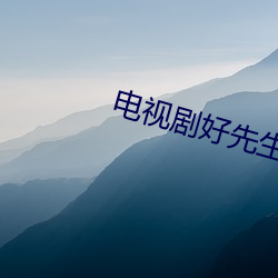 电视剧(劇)好(好)先生免费(費)全集观看