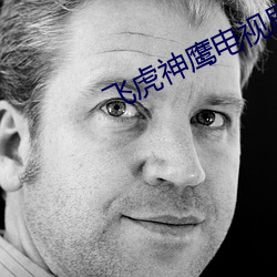 飞虎神(shén)鹰(yīng)电视(shì)剧免(miǎn)费观(guān)看