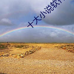 十大小说软(軟)件排(排)行榜(榜)