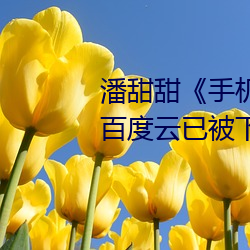 潘甜甜《手机的秘密》《七夕》百度云已被下架是真的吗 （一望无际）