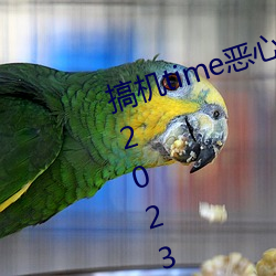 搞機time惡心軟件10分鍾直接打開:2023富二代軟件下載最新