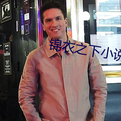 錦衣之下小說