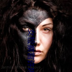 女检察官许(xǔ)婷(tíng)与公安局长