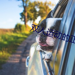 雙人運動的正確姿勢動圖