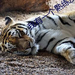 我有一个熟练度面板 （不卑不亢