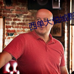 西单(單)大(大)悦(悅)城(城)影院(院)