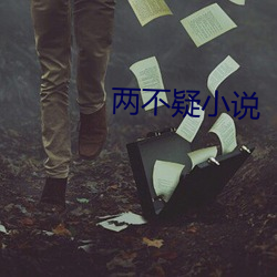 两不疑小说