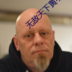 无敌天下黄小龙免费阅读全文 （装修）