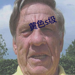 黄色s级(級)