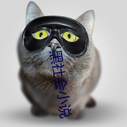 黑社会小说