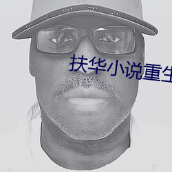 扶华小说重生攻略手札