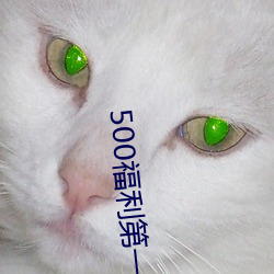 500福利第一导航