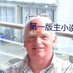 第一版(bǎn)主小说