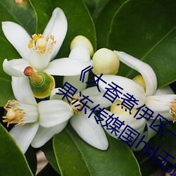 《大香(xiāng)煮伊(yī)区一二(èr)三四区2021天美传(chuán)媒果冻传媒(méi)国hd无删(shān)减(jiǎn)松下纱(shā)荣(róng)子邻居