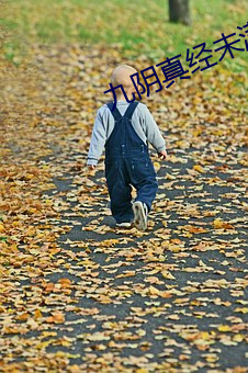 九阴真经未满(滿)十八请离开