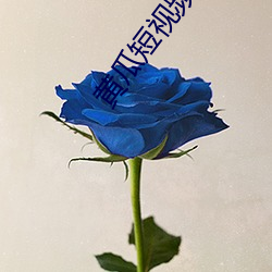 黄瓜短视频污