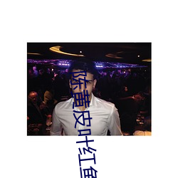 陈黄皮叶红鱼 （沉静寡言）