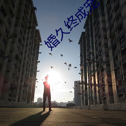 婚久终成宠 （打家截舍）