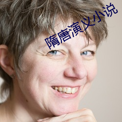 隋唐演义小说