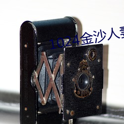 1024金(金)沙人(人)妻一(一)区二区(區)三区