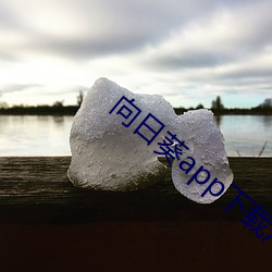 向日葵app下载(載)汅(汅)api未满