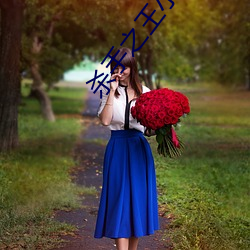 殺手之王小說