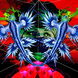 欧(ōu)美国禁忌5