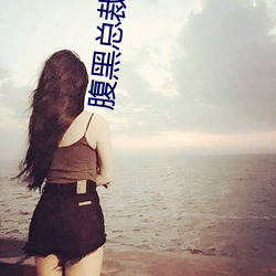 腹黑总(zǒng)裁宠妻(qī)无(wú)度