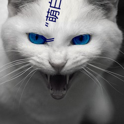 《“萌(萌)白(白)酱自慰(慰)喷水”》高清(清)在(在)线(線)观看