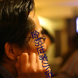 金粉世家小说