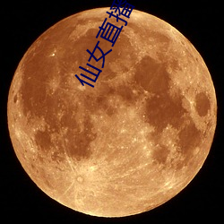 仙女(女)直播平台