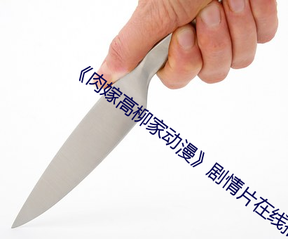 《肉嫁高柳家动漫》剧情片在线播放