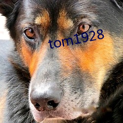 tom1928