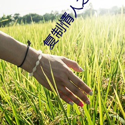 (й) - ٷվ