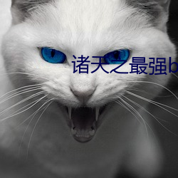 诸天之最强boss