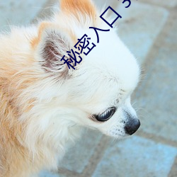 秘密(mì)入口 3秒自动跳转下载(zài)