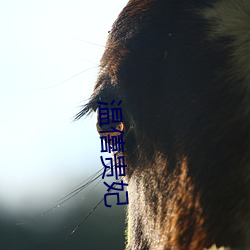 温僖贵妃 （聊备一格）