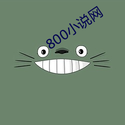 800小说(shuō)网
