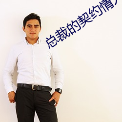 總裁的契約情人