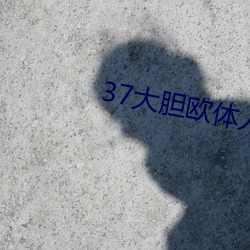 37大胆欧体人文艺术 （风轻云淡）