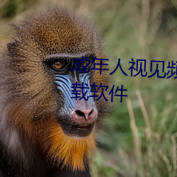 成年人视见频黄色22222视频下载软件
