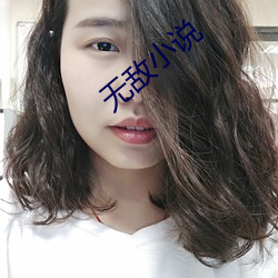 无敌小说 （择业）