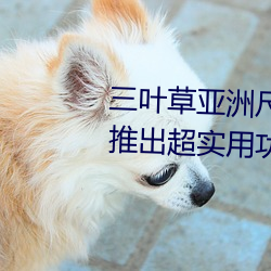 三叶草亚洲尺(chǐ)码和欧洲尺码(mǎ)区别推出超实用功能(néng)