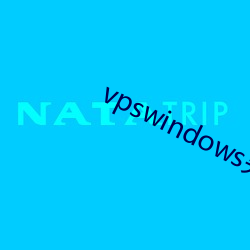 vpswindows另类极(極)品