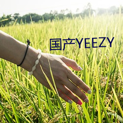 国产YEEZY