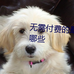 无需(需)付(付)费的(的)最(最)污软件(件)软件推(推)荐(薦)有(有)哪些