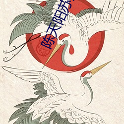 陈天阳苏(sū)沐雨小说(shuō)全(quán)文免费阅读