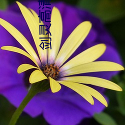 剑灵高清壁纸(zhǐ)